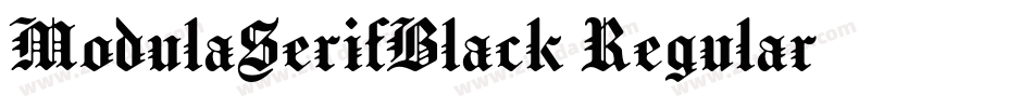ModulaSerifBlack Regular字体转换